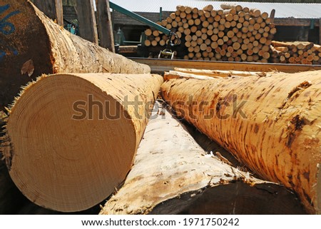 Construction timber in a sawmill
