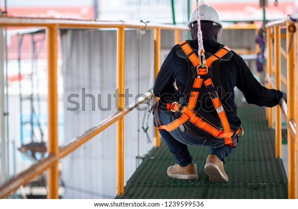 Construction worker wearing safety harness\
and safety line working on\
construction\

