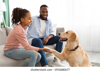 Contact Concept. Profile Portrait Of Black Girl Teaching Her Dog A Command. Labrador Giving Paw To His Little Female Owner Sitting On The Floor In Living Room. Smiling Kid Playing With Pet At Home