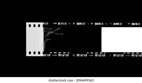 Contact Sheet Of Film Negatives.