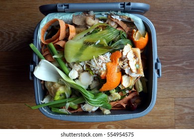 Container Of Domestic Food Waste, Ready To Be Collected By The Recycling Truck