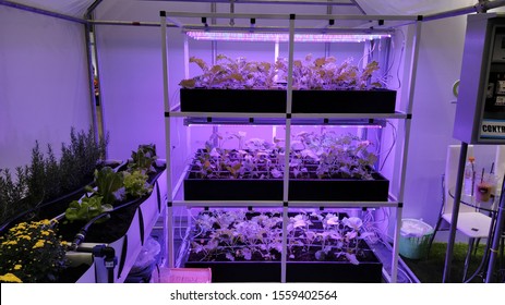 Container Farm System Iot Hydroponics Cultivating Stock Photo ...