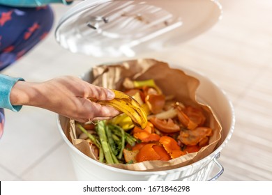 Container full of domestic food waste ready to be composted
 - Powered by Shutterstock