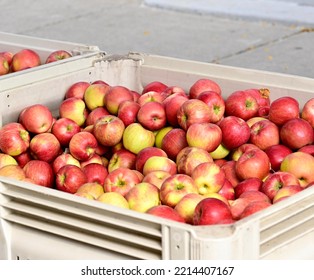 Container Full Of Fresh Apples On A Street During A Small Town Festival