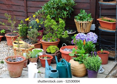 Container Gardening