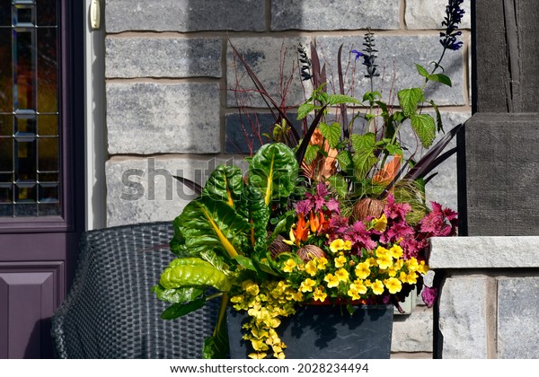 Container\
gardening with bright colours and ornamental kale create a\
beautiful thanksgiving flower\
arrangement.