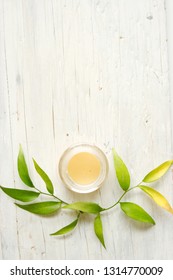 Container With Homemade Coconut Oil Balm Salve And Leaves On White Wooden Table. Flat View