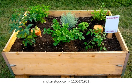 Container To Make A Vegetable Garden On Your Balcony Or Terrace. On The Label Are Shown The Following Captions: 