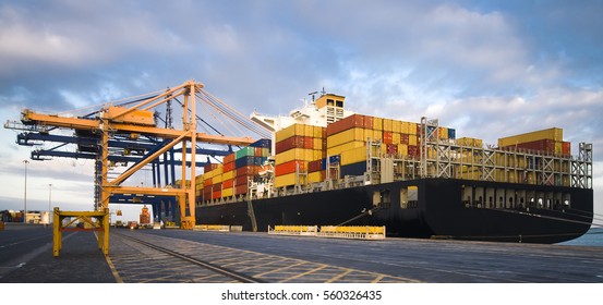 Container Operation In Port Terminal