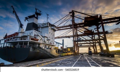 Container Operation In Port Terminal