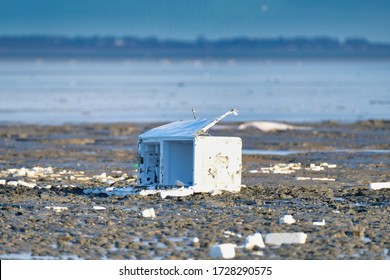 A container ship has lost a cargo at sea, the Netherlands. A freezer has washed ashore. Everywhere white balls of styrofoam, environmental pollution. Ecological problem. Unesco world heritage.