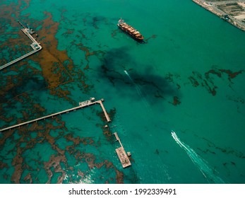 A Container Ship On The Ocean Of Oil Spill And Algae