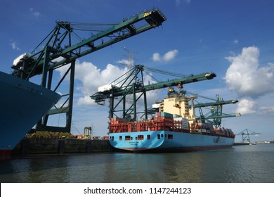  container ships in Antwerp harbor, Antwerp, Antwerp/Belgium -    September 21 - 2015                                   