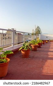 Container Vegetable Gardening. Garden On A Terrace. Cucumbers, Aubergines, Courgettes And Lettuce Growing In Containers.