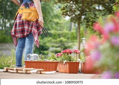 Containers With Pink Flowers Next To Gardener With Toolbelt During Gardening Work On Terrace