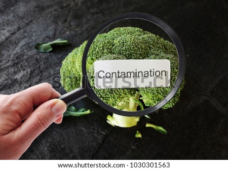 Contamination label on broccoli, being examined by a person with magnifying glass                               