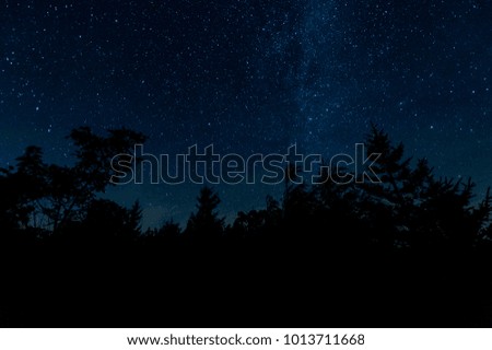 A contemplative look up at a starry night in the Dolly Sods wilderness in West Virginia.