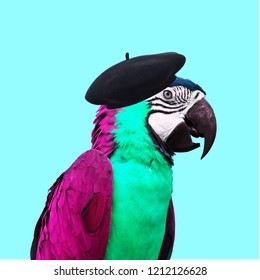  Contemporary art collage. Colorful Parrot animal with hat. - Shutterstock ID 1212126628