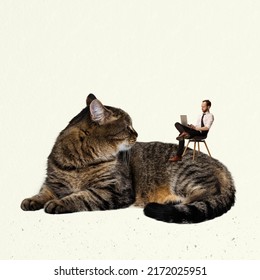 Contemporary Art Collage. Creative Design With Young Employee, Freelancer Sitting On Giant Cat And Working On Laptop. Teleworking. Concept Of Creativity, Business, Fun, Imagination, Ad