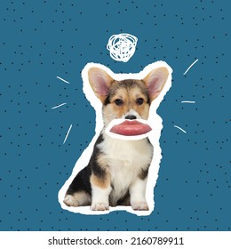 Contemporary Art Collage. Cute Image Of Corgi Dog With Human Mouth Element Isolated Over Blue Background. Looks Sad. Concept Of Modern Design, Surrealism, Fun, Creativity, Inspiration, Emotion