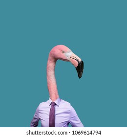 Contemporary Art Collage, Flamingos Lover