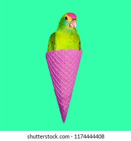 Contemporary art collage. Parrot Ice cream. Funny Fast food minimal project
