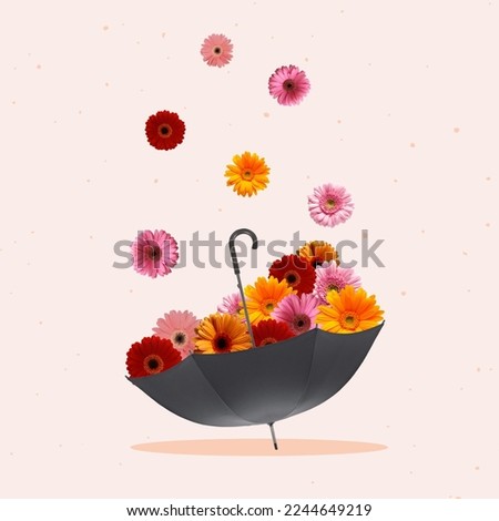 Contemporary art collage of an umbrella and rain from flowers. Modern design. Holidays and love concepts. Women's Day, Valentine's Day. Greeting card. Copy space.