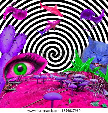 Contemporary art collage.Psychedelic, Hallucination,Mushrooms mood