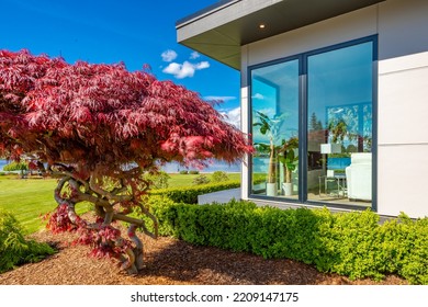 Contemporary Home Exterior On Lakeshore With Flat Roof And Large Feature Windows