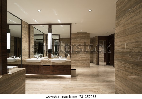 Contemporary interior of public\
toilet