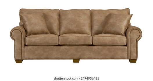 Contemporary leather armchair sofa isolated on white background. Brown color leather armchair. Armchair clipping path. Furniture Collection