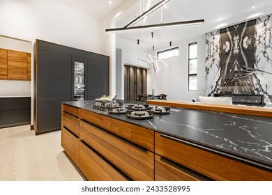 Contemporary modern home exterior and interior with floor to ceiling marble fireplace black granite countertops in the kitchen modern stylish furniture built in wall ovens custom fridge bar stools - Powered by Shutterstock