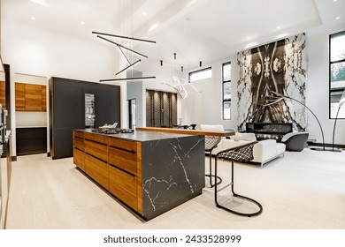 Contemporary modern home exterior and interior with floor to ceiling marble fireplace black granite countertops in the kitchen modern stylish furniture built in wall ovens custom fridge bar stools - Powered by Shutterstock