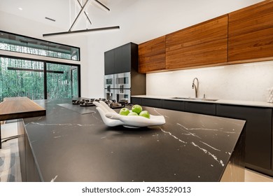 Contemporary modern home exterior and interior with floor to ceiling marble fireplace black granite countertops in the kitchen modern stylish furniture built in wall ovens custom fridge bar stools - Powered by Shutterstock