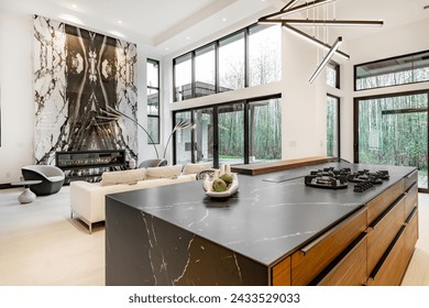 Contemporary modern home exterior and interior with floor to ceiling marble fireplace black granite countertops in the kitchen modern stylish furniture built in wall ovens custom fridge bar stools - Powered by Shutterstock