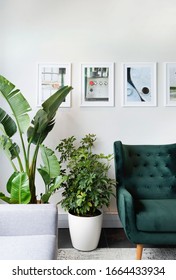 Contemporary Office Interior With Plants And Greenery