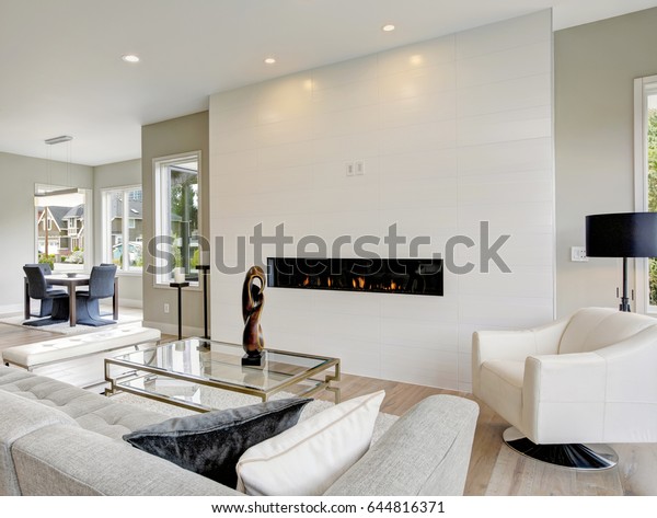 Contemporary Style Living Room Accented Modern Stock Image