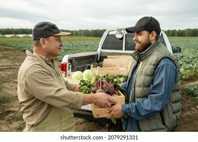 Content Asian Farm Worker In Cap And Apron Giving Box Of Fresh Vegetables To Young Pickup Truck Driver