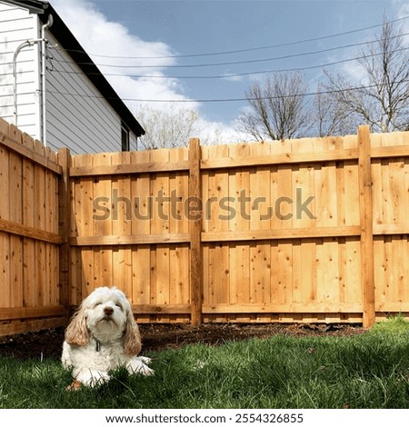 Content in the grass and shade 
