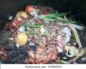 The Contents Of Compost Heap Bin Decaying; Essex; UK