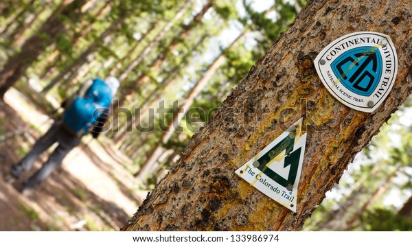 Continental Divide Trail and Colorado Trail Signs on\
a Tree