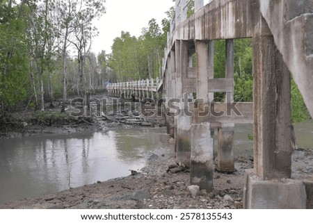 Similar – Image, Stock Photo bridge piers planted with climbing plants