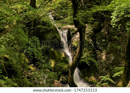 Similar – Image, Stock Photo Bear Guard Gorge Nature