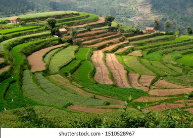 17,910 Contour farming Images, Stock Photos & Vectors | Shutterstock