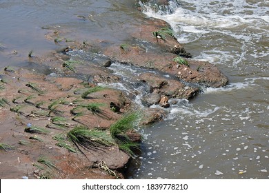 River Bed High Res Stock Images Shutterstock River Bed High Res Stock Images Shutterstock