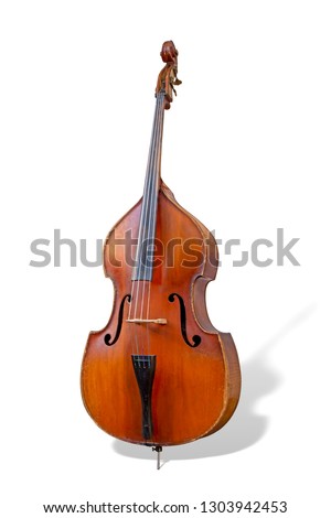 Contrabass isolated on a white background. Music instruments series