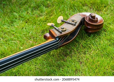 Contrabass on a background of green grass. The musical instrument consists of a soundboard with two holes, a neck with a fretless fingerboard and a headstock in the characteristic shape of a snail.