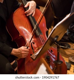 Contrabass professional player with symphony orchestra performing in concert on background.
