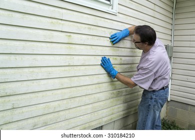 Contractor Cleaning Algae And Mold From Vinyl Siding Of A Customers Home.