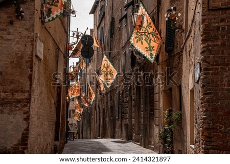 Contrade flag of the Selva-Rhino city district hanging in a street in downtown Siena, Italy